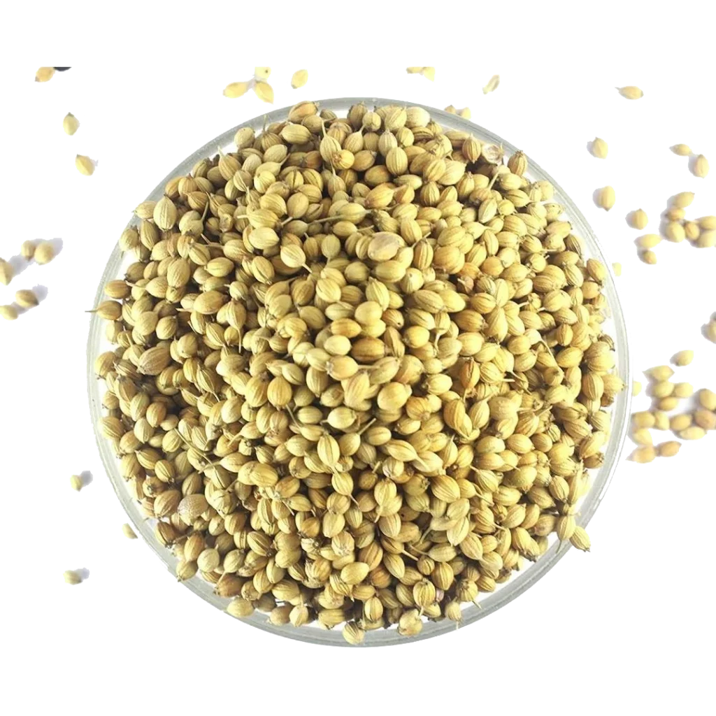 Coriander Seeds