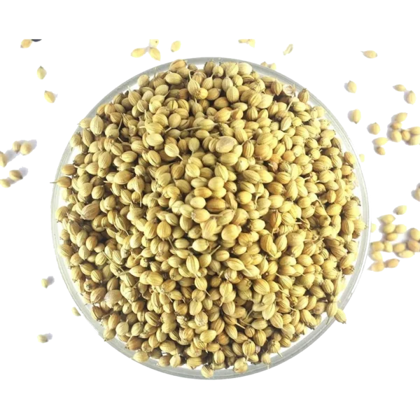 Coriander Seeds