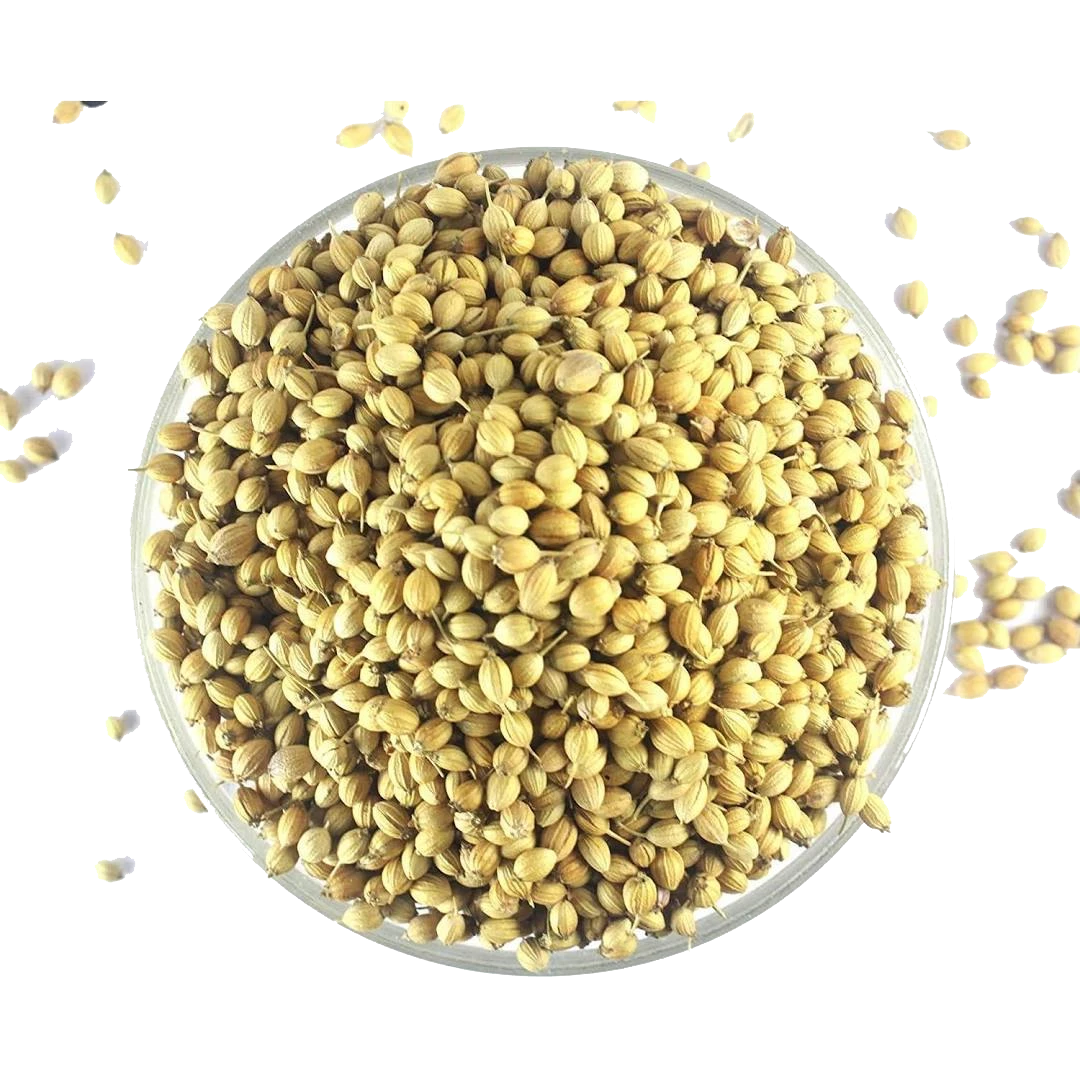 Coriander Seeds