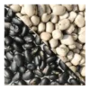 Kaunch Beej