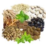 Herbs