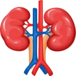 Urinary Care